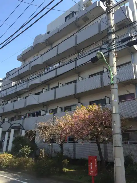 アドニスシマダ