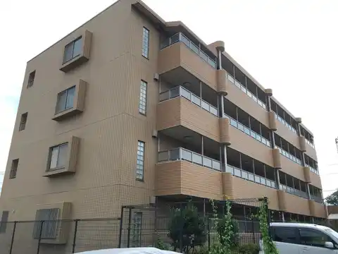 コスミック