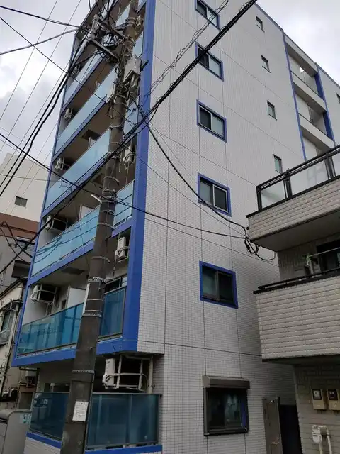 パウロニアバレーテイク4西横浜