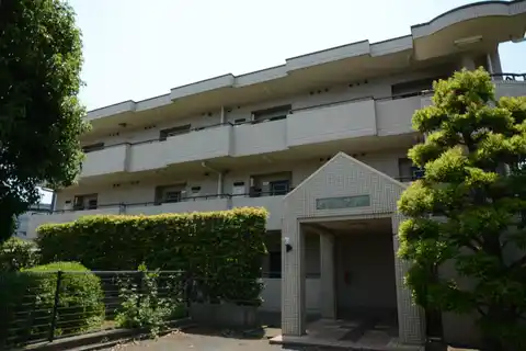 ベラ・アカシア