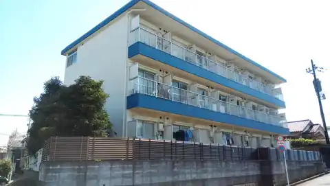 ニューフラットワシガミネ