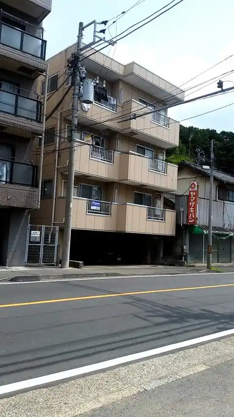 ステラ石井