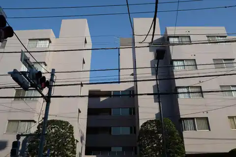 南品川ロイアルハイツ