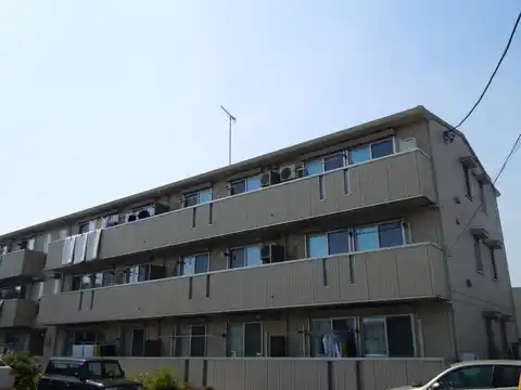 コルティー