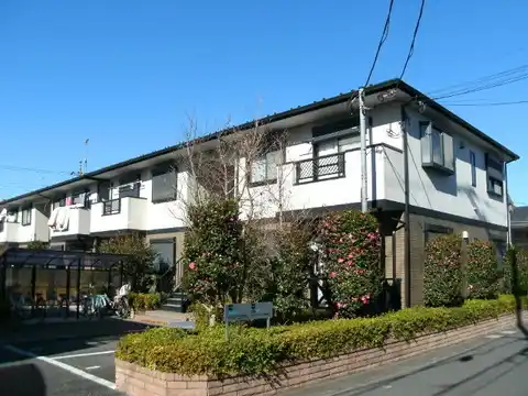 パフィオーネ