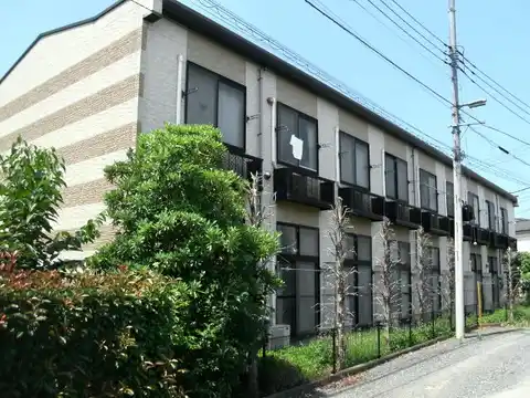 レオパレスピーヌス