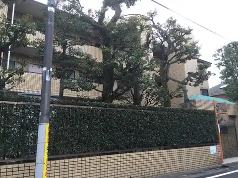 サニーコート自由が丘