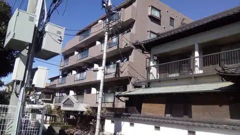 エレクティオン橋本
