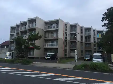 ハイム大貫