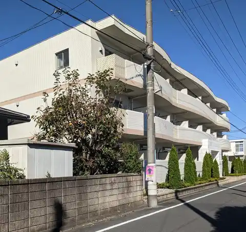 クーチャ万願寺