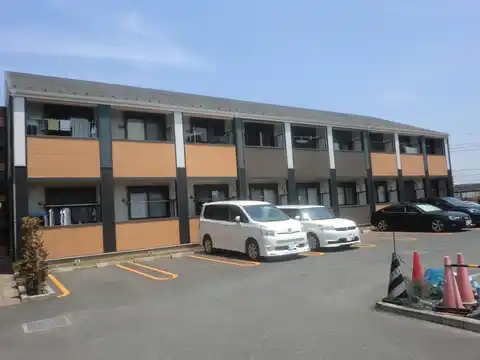 アンモードイグサ1