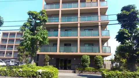 ウィスタリアオーク