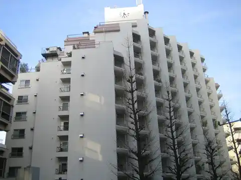 原宿ビューパレー
