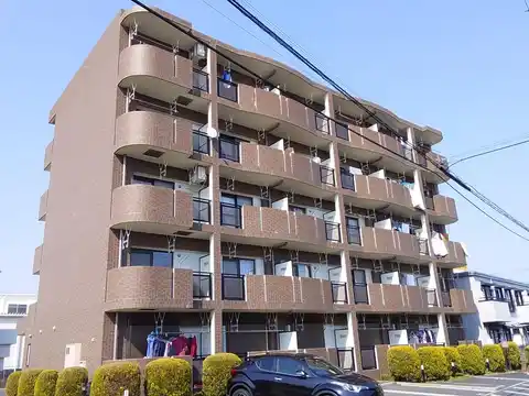 ヴィクトリアパーク DK