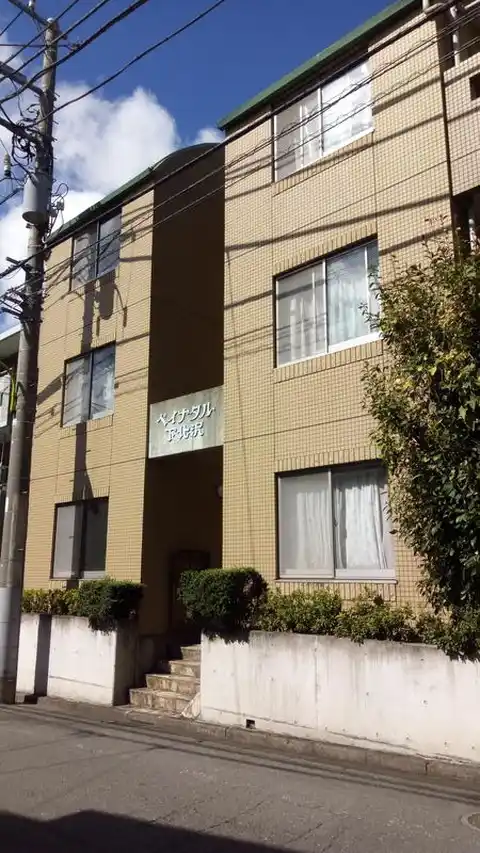 ペイナタル下北沢