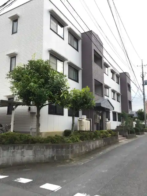 フィネス河本