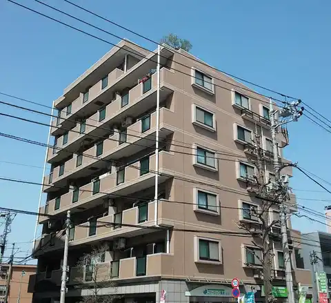 カスティージョ国立