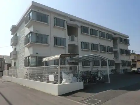 シャンベール花の木