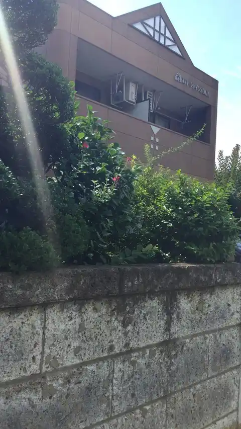 エバーシャインSOGA