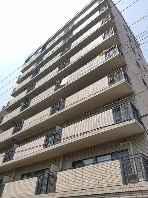 バイムフルス白金 I