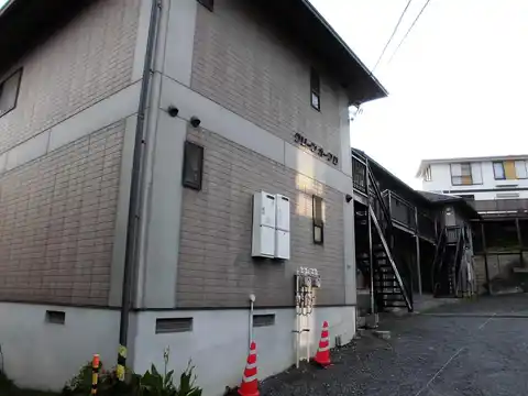 グリーンオークD