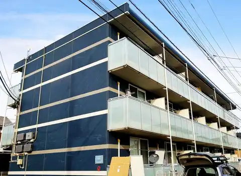 レオネクストドリーム金子