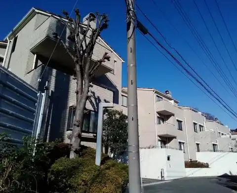 モアクレスト菊名