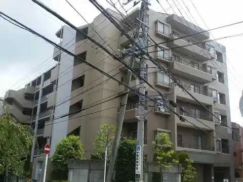 ヒルズ溝の口