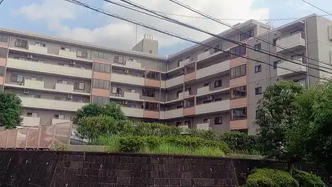 江田ロビニア