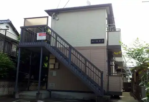 パーシモン