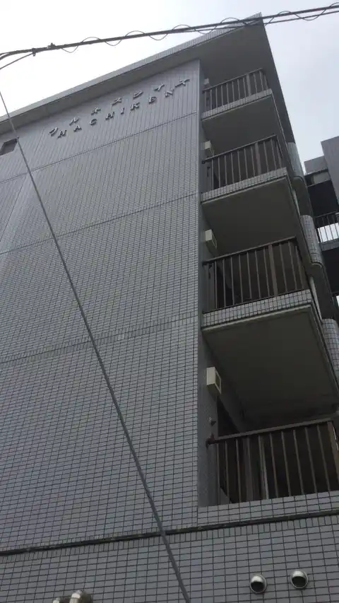 フルネスライズ