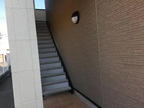 ドミール