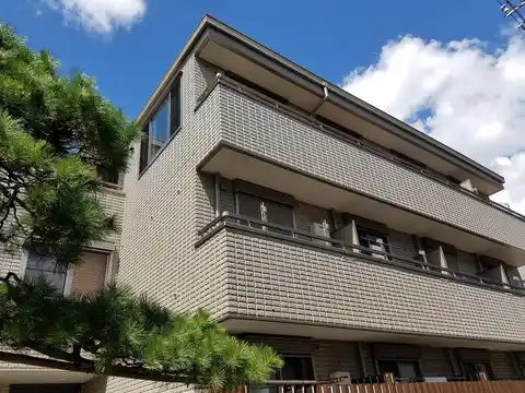 キャニオン