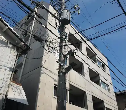 ステラマリス