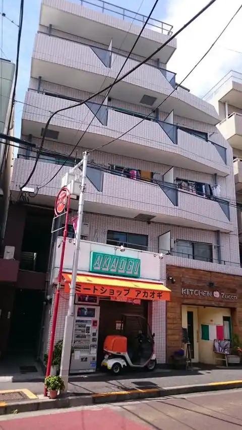 カサベリヤ菊地