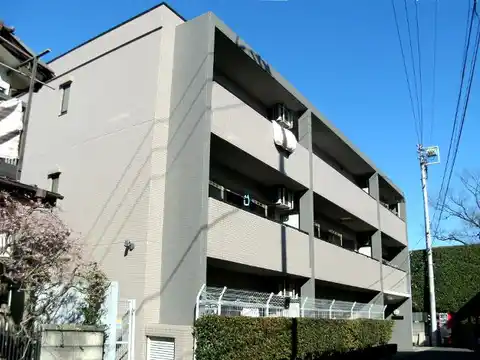 ステラ丸嶋