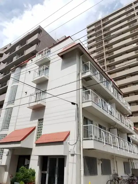 ルセアン白妙