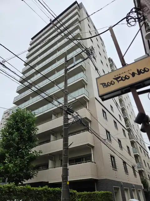 バウス柏