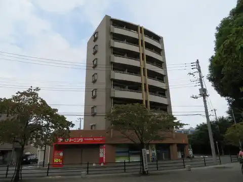 ソフィアグレースヤチヨ