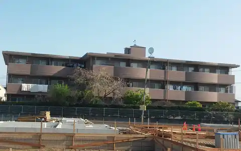 モンレーヴ染地