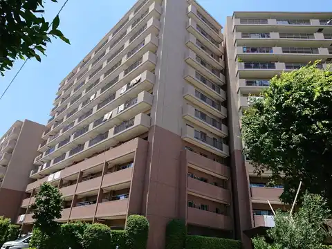 L・ヴィアーレシティ