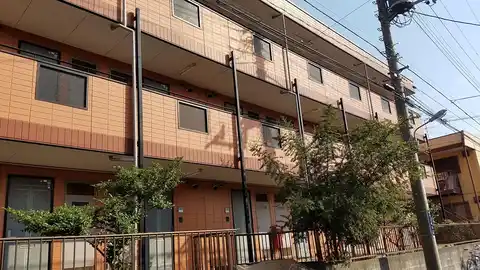 ルピナス