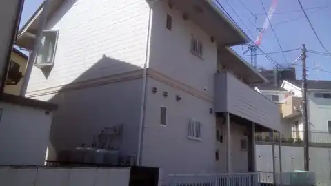 マグノリア