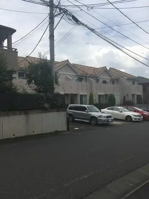 クランベリー