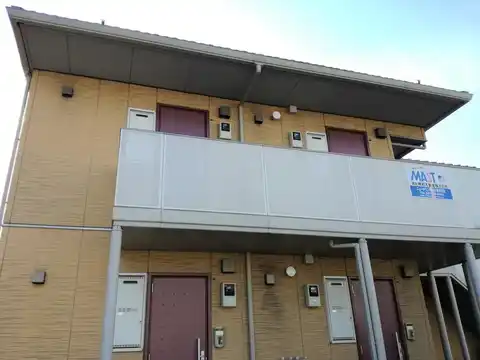 プルメリア
