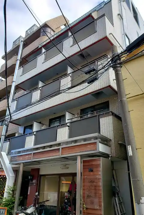 シャンテ美里