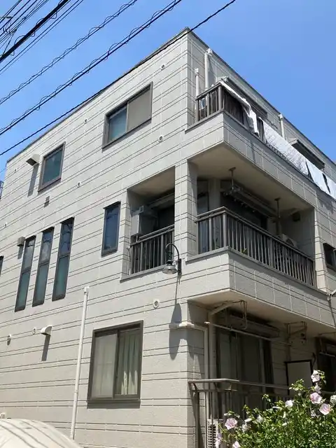 キャベッジホワイト