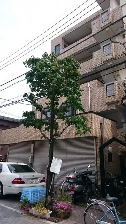 サウスネクストIII