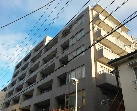 ラウレス矢向