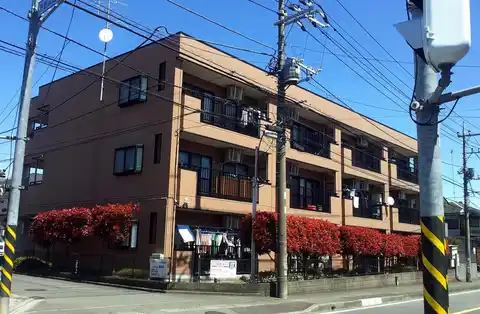 メゾネピア